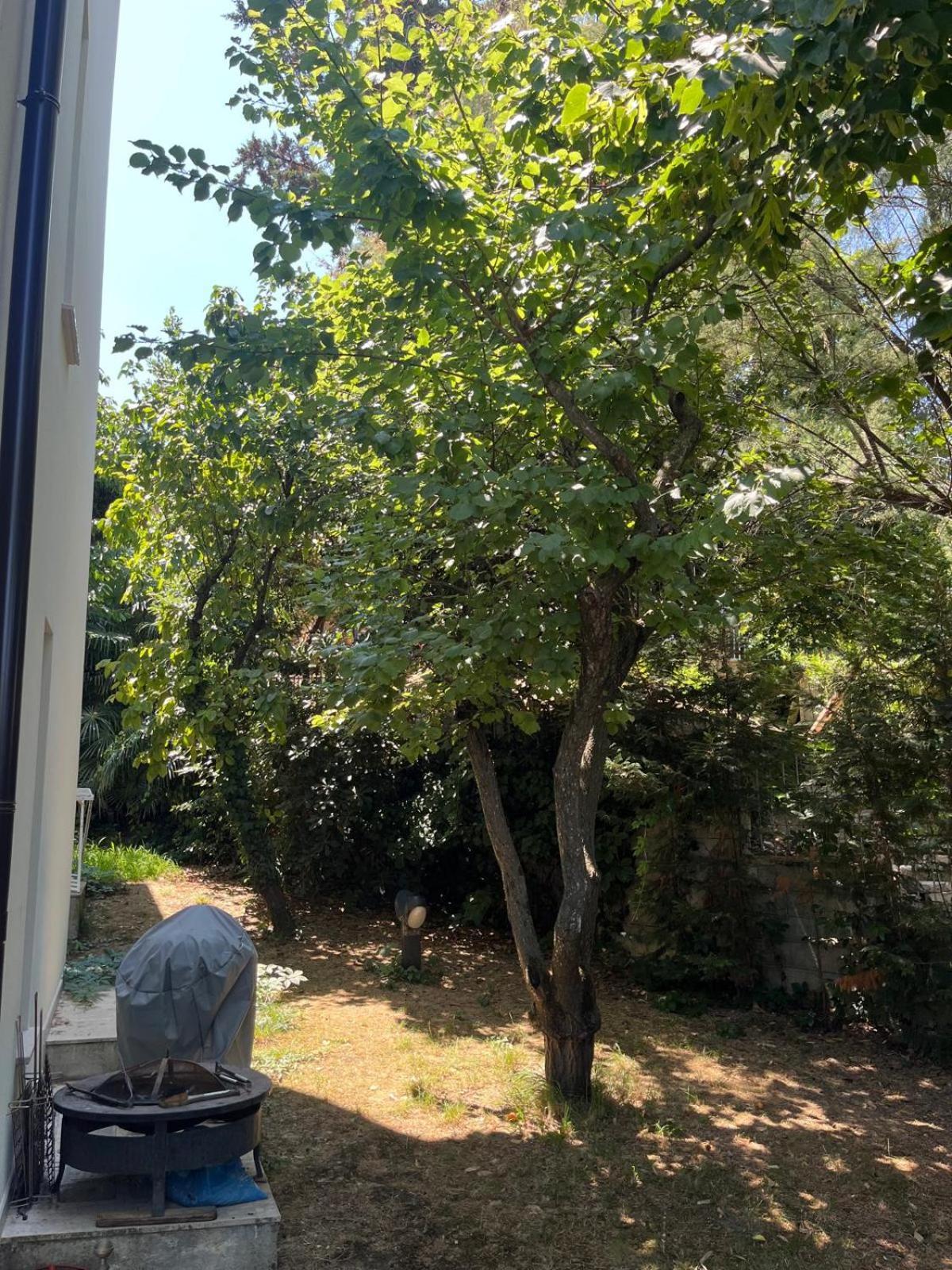 Villetta Panoramica Con Giardino A Riccione Exterior foto